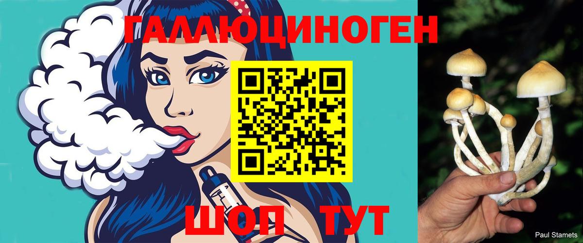 Обь  Псилоцибиновые грибы мицелий  Вход с VPN 